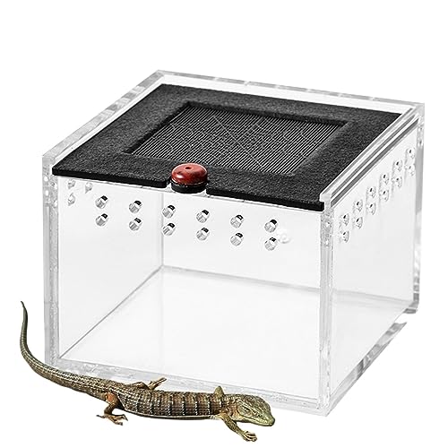 Reptilienkäfig | Eidechsenkäfig, Eidechsenkäfig, Reptilien-Terrarium und Gehege, Haustiergehege, tragbarer Tier-Lebensraum-Käfig, Reptilien-Fütterung, Acrylbox für Spinne von JINGAN