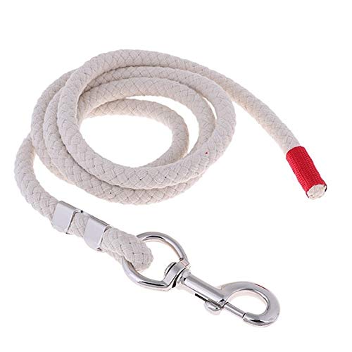 14mm Equestrian Reiten Führleinen Halfter Baumwolle Webart Reins (Color : White 2.5m) von JINGBA