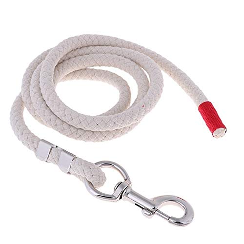 14mm Equestrian Reiten Führleinen Halfter Baumwolle Webart Reins (Color : White 2m) von JINGBA