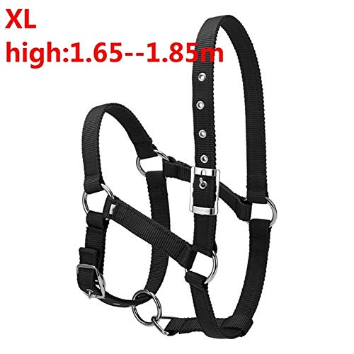 JINGBA S/M/L 6MM verdickte Pferdekopf Kragen Verstellbare Sicherheitshalfter Trensen Halfter Reiten Rennequipment Trainings Seil (Color : Balck XL) von JINGBA