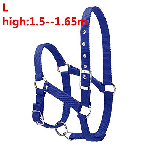 JINGBA S/M/L 6MM verdickte Pferdekopf Kragen Verstellbare Sicherheitshalfter Trensen Halfter Reiten Rennequipment Trainings Seil (Color : Blue L) von JINGBA