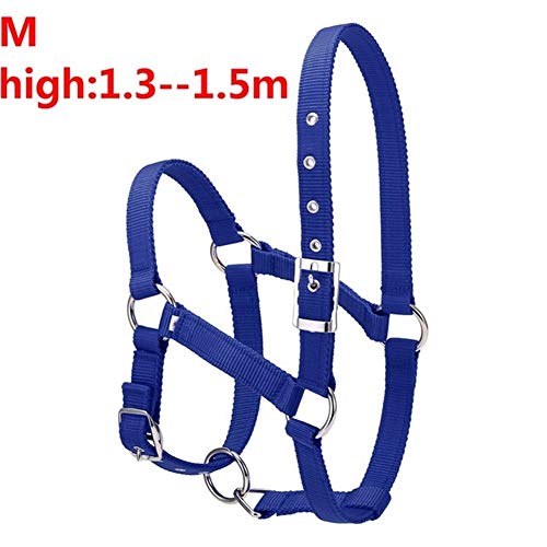 JINGBA S/M/L 6MM verdickte Pferdekopf Kragen Verstellbare Sicherheitshalfter Trensen Halfter Reiten Rennequipment Trainings Seil (Color : Blue M) von JINGBA