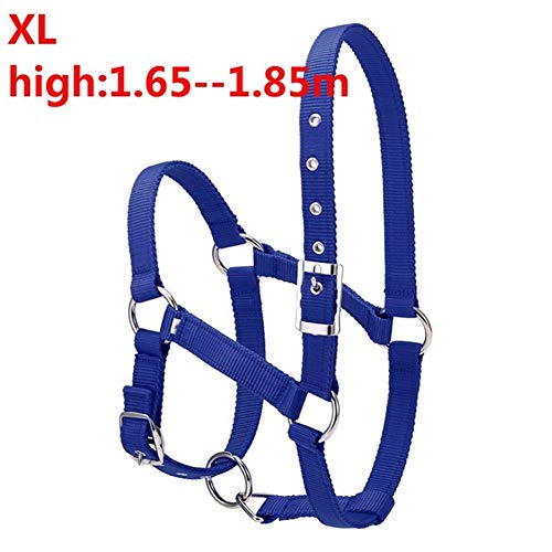 JINGBA S/M/L 6MM verdickte Pferdekopf Kragen Verstellbare Sicherheitshalfter Trensen Halfter Reiten Rennequipment Trainings Seil (Color : Blue XL) von JINGBA