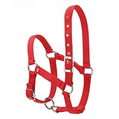 JINGBA S/M/L 6MM verdickte Pferdekopf Kragen Verstellbare Sicherheitshalfter Trensen Halfter Reiten Rennequipment Trainings Seil (Color : Red L) von JINGBA