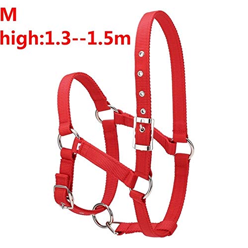 JINGBA S/M/L 6MM verdickte Pferdekopf Kragen Verstellbare Sicherheitshalfter Trensen Halfter Reiten Rennequipment Trainings Seil (Color : Red M) von JINGBA