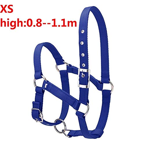 S/M/L 6MM verdickte Pferdekopf Kragen Verstellbare Sicherheitshalfter Trensen Halfter Reiten Rennequipment Trainings Seil (Color : Blue XS) von JINGBA