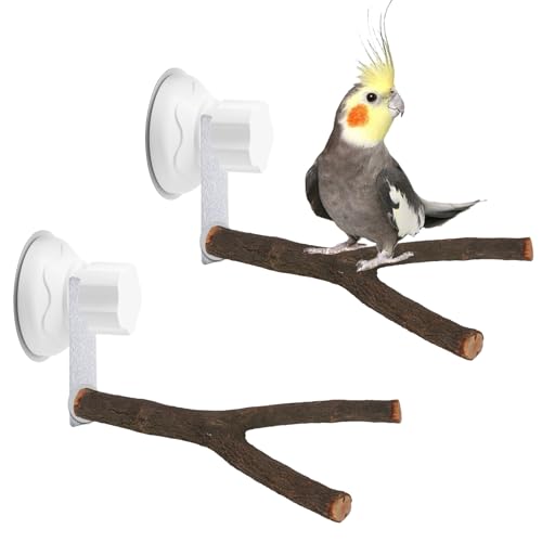 2er-Set Holz Vogelstange mit Saugnapf Y-Typ Vogelstangenständer Sitzstangen Vögel Ständer Spielzeug Vogelschleifklauen Klettern Stehend für Kakadu Ara Lovebirds Sittich 25 cm von JINGHANGER