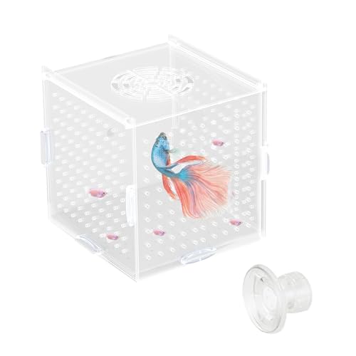 Aquarium Fischzucht Box mit Saugnapf 10x10x10cm Acryl Transparent Aquarium Breeder Box Aufzuchtbehälter Aquariumzubehör für kleine Fische, Garnelen, Clownfische, Guppys von JINGHANGER