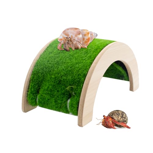 JINGHANGER Einsiedlerkrebse Kletterleiter Brücke mit Moos Einsiedlerkrebse Rampe Spielzeug Kletterspielzeug für Reptilien für Eidechse Chamäleon Hamster Chinchilla Meerschweinchen von JINGHANGER