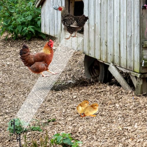 Rampe für Hühnerstall mit Bodennägeln Hühnerleiter aus Kunststoff Chicken Ladder Zubehör für Hühnerställe für Beinprobleme und Hühner können Nicht fliegen von JINGHANGER