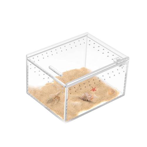 Reptil Fütterungsbox 10x8,5x6cm Transparent Acryl Reptilienzuchtbox Mini Terrarium für Spinnen, Eidechsen, Skorpion, Käfer, Geckos von JINGHANGER