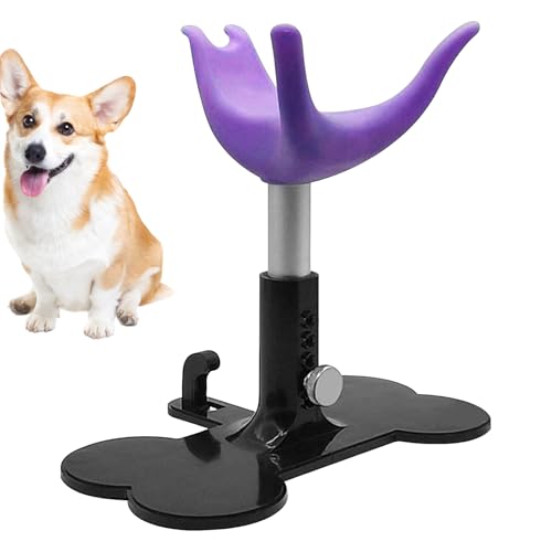 JINGLING Hundepflegeständer - Hundebadestütze Für Welpen - Höhenverstellbare Assistenzleiter Zum Baden Trimmen Duschen Und Pflegen Von Hunden JINGLING Hundepflegeständer - Hundebadestütze Für Welpen - Höhenverstellbare Assistenzleiter Zum Baden Trimmen Duschen Und Pflegen Von Hunden von JINGLING