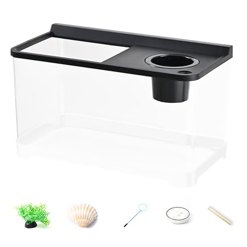 JINGLING Kleines Aquarium, Beleuchtung in 3 Farben, Aquarium, hohe Transparenz, 360 °, für Büro, Tisch, Schlafzimmer, Wohnzimmer, Eingangsbereich, Dekoration JINGLING Kleines Aquarium, Beleuchtung in 3 Farben, Aquarium, hohe Transparenz, 360 °, für Büro, Tisch, Schlafzimmer, Wohnzimmer, Eingangsbereich, Dekoration von JINGLING