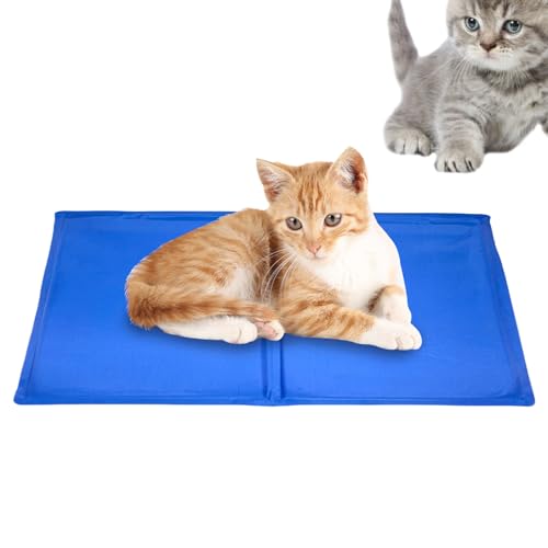 JINGLING Kühlmatte für Tiere – Kühldecke mit Gel für Hunde und Katzen | tragbare Eismatte für Katzen zum Schlafen für Sommerentspannung und Nickerchen beim Camping und Sitzen JINGLING Kühlmatte für Tiere – Kühldecke mit Gel für Hunde und Katzen | tragbare Eismatte für Katzen zum Schlafen für Sommerentspannung und Nickerchen beim Camping und Sitzen von JINGLING