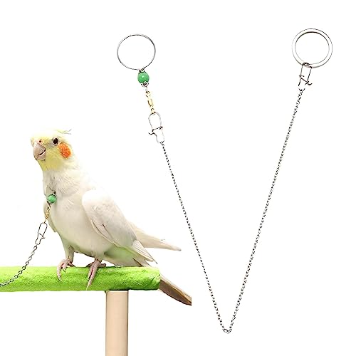 JINGLING Vogelkettenleine | Edelstahlhalskette für Papageientraining,Sicherheitsschnallen-Design, bequemes Papageien-Halsband mit 8-stelligen Ringen für Nymphensittiche von JINGLING