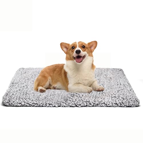 JINGTOPS Wärmedecke für Hunde,Selbstheizende Decke für Katzen Hunde, Katzenbett, Waschbar Hundedecke, Katzenhaus Outdoor,Haustiere Wärmematte Winter (70x50cm) von JINGTOPS