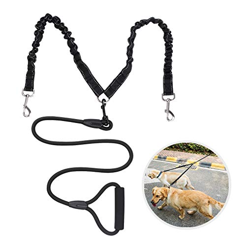 2 in 1 Haustierleine Halsband Verstellbar Hundehalsband Leine Set Lauf-Leine Doppel-Leine Hund Katze Welpe Gurtband Schlaufe für kleine mittlere und große Hunde von JINTN