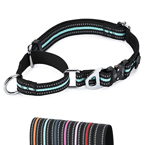 JIPIMON Martingale Hundehalsband, reflektierend, Nylon, weiches Kissen, Legierung, Schnalle, Training, Haustierhalsband, kleine, mittelgroße und große Hunde (Medium, Blaugrün) von JIPIMON