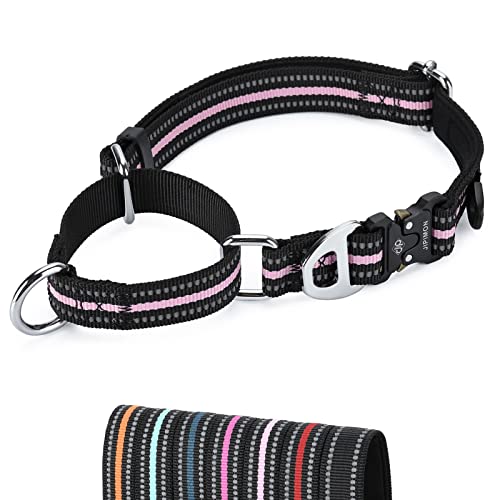 JIPIMON Martingale Hundehalsband, reflektierend, Nylon, weiches Kissen, Legierung, Schnalle, Training, Haustierhalsband, kleine, mittelgroße und große Hunde (Medium, Rosa) von JIPIMON