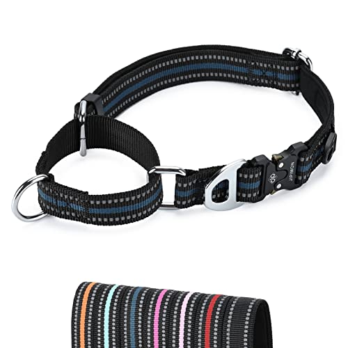 JIPIMON Martingale Hundehalsband Reflektierend Nylon Weich Kissen mit Legierungsschnalle Hundehalsband Martingale Kleine Mittlere und Große Hunde (Klein, Dunkelblau) von JIPIMON