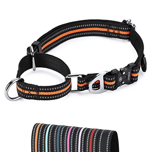 JIPIMON Martingale Hundehalsband Reflektierend Nylon Weich Kissen mit Legierungsschnalle Hundehalsband Martingale Kleine Mittlere und Große Hunde (Klein, Orange) von JIPIMON