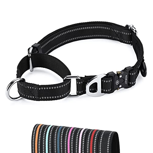 JIPIMON Martingale Hundehalsband Reflektierend Nylon Weich Kissen mit Legierungsschnalle Hundehalsband Martingale Kleine Mittlere und Große Hunde (Klein, Schwarz) von JIPIMON