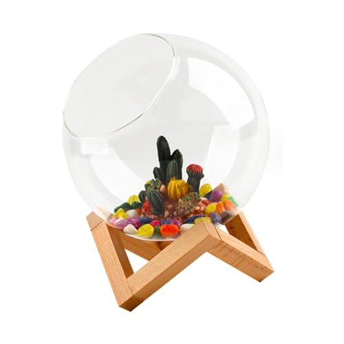 JISADER Mini-Fischschalen-Sets, kleines Glasgefäß, Terrarium, einfach zu bedienendes Aquarium, Glasbehälter für Werkzeuge, Büro, Heimgebrauch, Algenbälle, m von JISADER