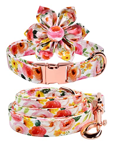 Rosa Gelb Aquarell Floral Hundehalsband Blumen mit Leinen-Zubehör, abnehmbare Blume, verstellbares Halsband für kleine, mittelgroße und große Mädchen Hunde von JIUJIA