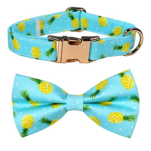 Summer Pineapple Hundehalsband mit Fliege, abnehmbare Schleife, verstellbares Halsband für kleine, mittelgroße und große Hunde von JIUJIA