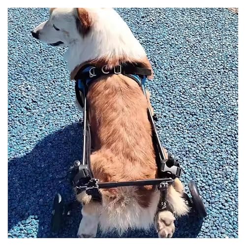 JIURUOZ Hunderollstuhl, Hundewagen/Rollstuhl, Hunde-Hinterbein-Rollstuhlunterstützung, verstellbare Hundeassistenzwagen mit Rädern, Gehhilfen for kleine amputierte Haustiere(Medium) von JIURUOZ