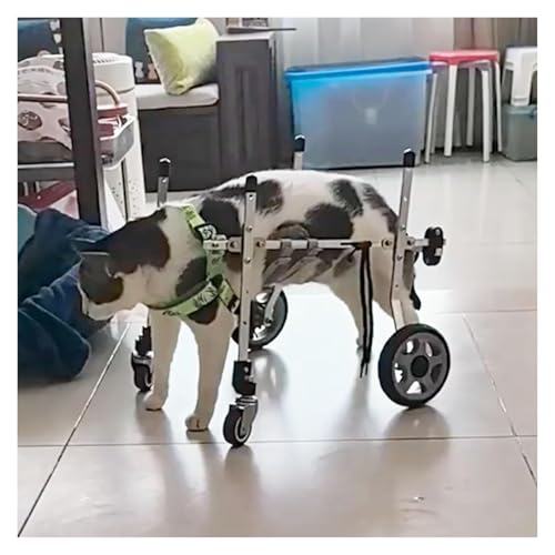 JIURUOZ Hunderollstuhl, Hundewagen/Rollstuhl, Vierrädrige Arthritis-Mobilitätshilfen for Hunde for die Rehabilitation, tragbarer Trainingswagen for schwache Beinstützen(Medium) von JIURUOZ