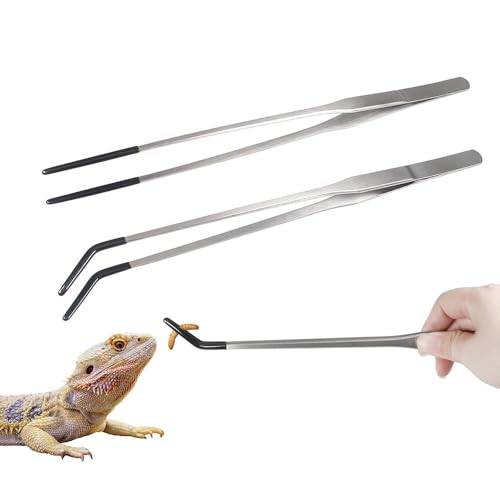 JJIAGOLD Reptilien-Futterzange aus Edelstahl mit Gummispitzen, gerade & gebogene Pinzette für sichere Eidechse, Schlange, Spinne, Fütterung, Terrarium & Aquarium-Tankzubehör (gebogen und gerade) JJIAGOLD Reptilien-Futterzange aus Edelstahl mit Gummispitzen, gerade & gebogene Pinzette für sichere Eidechse, Schlange, Spinne, Fütterung, Terrarium & Aquarium-Tankzubehör (gebogen und gerade) von JJIAGOLD