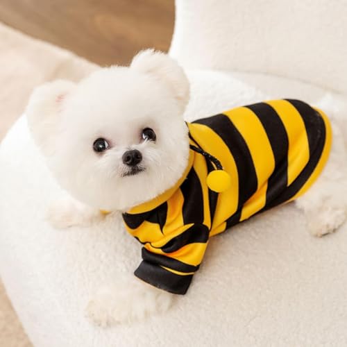 Dog Costumes Bee,Katzen Bienenkostüm,Halloween Costume for Halloween and Christmas for Pets,Haustier Bienenkostü Mit Kapuze Für Kleines Hunde Und Katzen von JJKTO