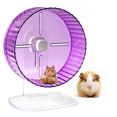 JJMOLLE Hamsterrad lila von JJMOLLE