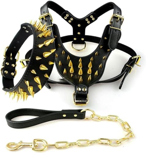 Cooles Hundegeschirr aus Leder mit Nieten, Halsband und Leine, Set für mittelgroße und große Hunde, Gold, XL von JKDSAO