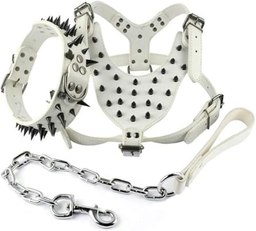 Cooles Hundegeschirr aus Leder mit Nieten, Halsband und Leine, Set für mittelgroße und große Hunde, Weiß, XL von JKDSAO