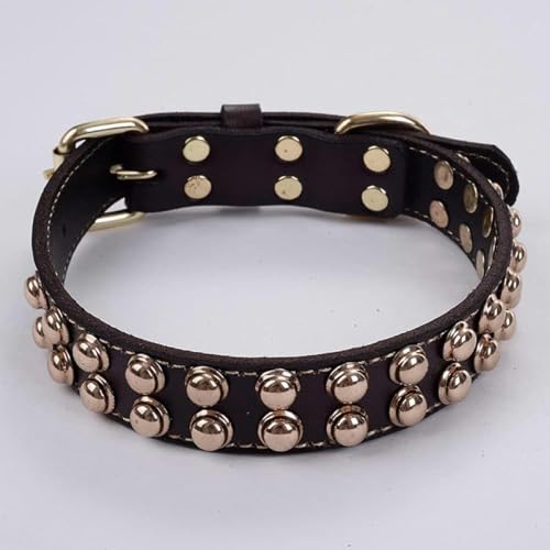 Hundehalsband aus Leder mit goldenen Nieten und Nieten, Hundelätzchen, Hundeleine für kleine, mittelgroße und große Hunde, mit Spikes besetztes Halsband, Schwarz, M-Kaffee-S von JKDSAO