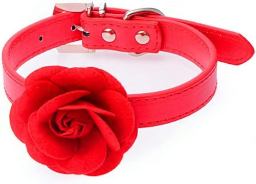 Hundehalsband aus PU-Leder mit Rosenblüten-Halskette für Haustiere mit sortierter Schleppkette, rot, M-rot-S von JKDSAO