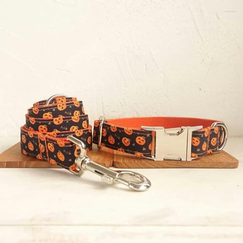 Hundehalsband für Haustiere, Hundezubehör, Haustierbedarf für kleine, mittelgroße und große Hunde, 5 Größen, Hundehalsband, XS-Hundehalsband-Leine-Set-XS von JKDSAO