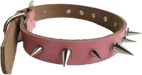 Hundehalsband mit Nieten, klein und groß, mit Spikes, Nieten-Zubehör, Halsband für Welpen, Halskette aus Leder, PU, Heimtierbedarf, Pink, M-Pink-M von JKDSAO