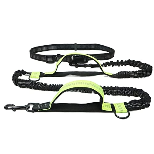 JKELPV Hundeleine Schleppleine für Hunde Hunde-Laufgürtel Haustier-Bungee-Leinen Hundetraining für mittelgroße Hundebedarf(Astyle Green) von JKELPV