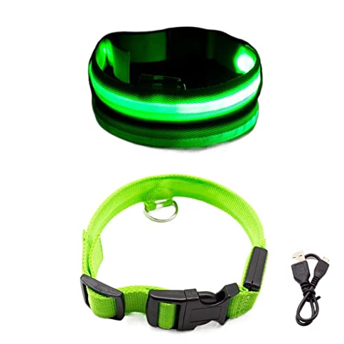 JKELPV Hundeleine Schleppleine für Hunde Hundehalsband für Haustiere, Nachtsicherheit, Hundehalsband, Verstellbarer Hundehalsband, Heimtierbedarf(Green USB Charging,S Neck 35-43 cm) von JKELPV