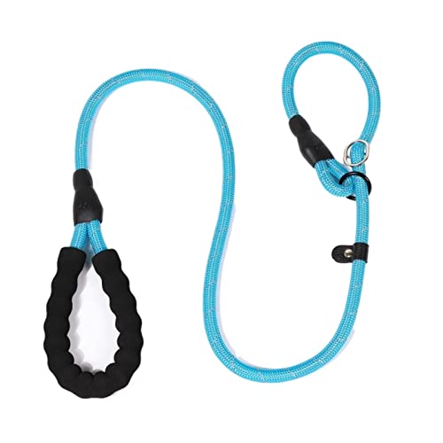 JKELPV Hundeleine Schleppleine für Hunde Laufleinen aus Nylon Seilhalsband 2 in 1 verstellbares Halsband klein mittelgroß(Blue,2.0M X 1.0CM) von JKELPV