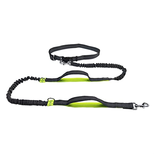 JKELPV Hundeleine Schleppleine für Hunde Laufleinen für Hunde, Hundezubehör, Leine für Hunde, Zubehör, Haustier, elastisch(Fluorescent Green) von JKELPV