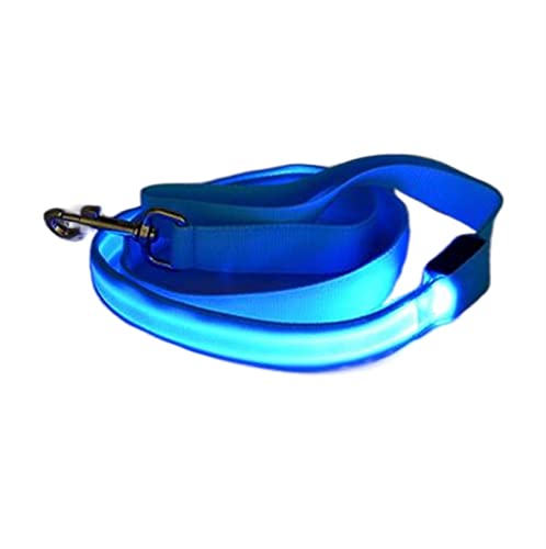 JKELPV Hundeleine Schleppleine für Hunde Nylon Light Up Hundeleine Nachtsicherheit Hundehalsband Heimtierbedarf Katze Zeichnen Kleine Leine(Blue,Width 20mm) von JKELPV