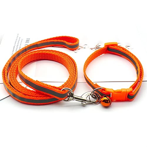 JKELPV Hundeleine Schleppleine für Hunde Reflektierende Haustierleine, Kätzchen und Hundehalsband, verstellbares Laufseil-Set, Haustierzubehör(Orange) von JKELPV