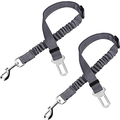 JKELPV Hundeleine Schleppleine für Hunde Sicherheitsgurt, Verstellbarer Puffer, elastisches Sicherheitsseil, Hand, die Seil-Hundezubehör hält(Gray) von JKELPV