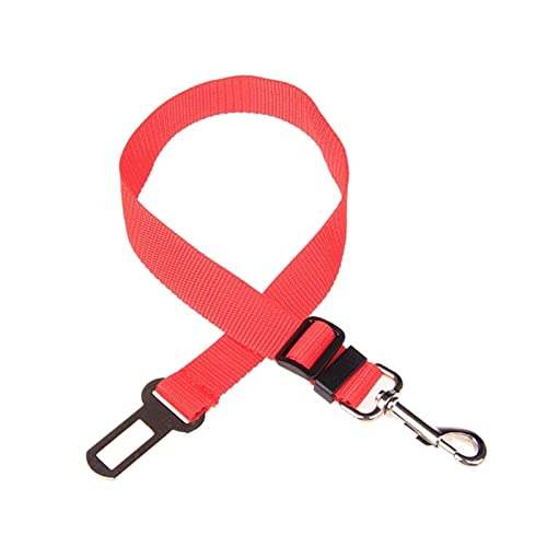 JKELPV Hundeleine Schleppleine für Hunde Verstellbares Geschirr, Leine, klein, mittelgroß, Reise-Clip, Hundehalsband, Leine, Hundezubehör(Red) von JKELPV