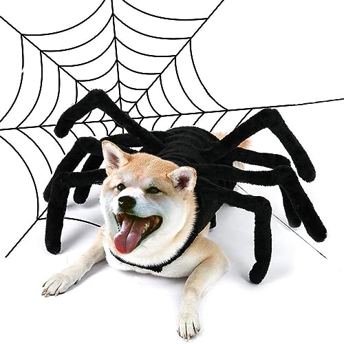 Halloween-Hunde-Spinnen-Kostüm, kleines Hunde-Transformator-Kostüm, Halloween-Spooky-Haustier-Cosplay-Kostüm(L) von JKUHA