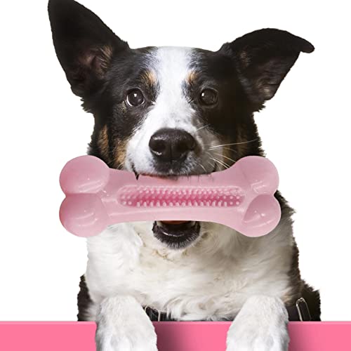 Kauspielzeug für Welpen, Spielzeug zur Reinigung der Zähne von Tieren – interaktives Kauspielzeug für Haustiere zum Schleifen von Zähnen von kleinen, mittleren und großen Rassen Rossev von JMEDIC